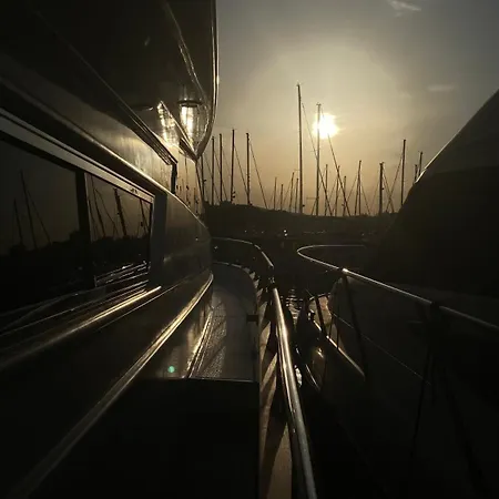 The Bridge - Your Dream In Botel *